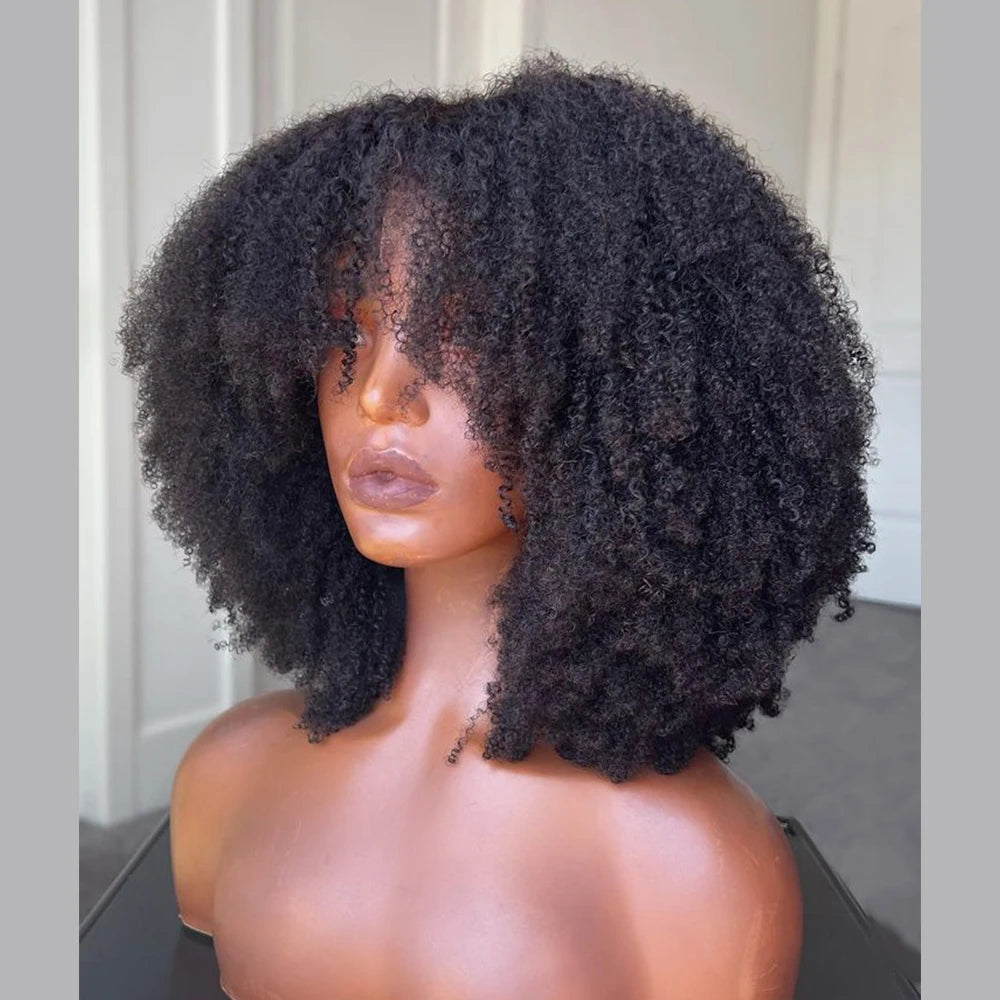 Afro Kinky Curly 13X6 Lace Front Human Hair Wigs For Black Women 4x4 Lace Closure Wig With Bang Brazilian 180% Density Remy Hair