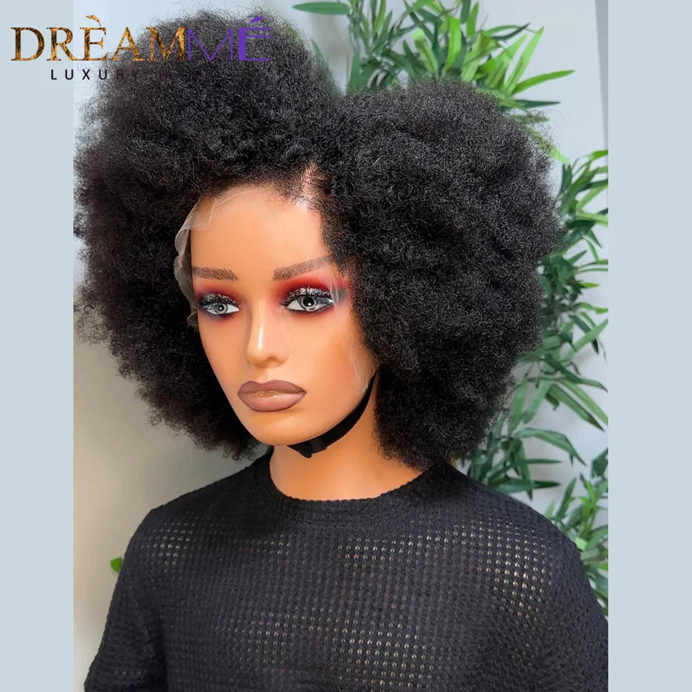 Afro Curly 360 Lace Wigs For Women Peruvian Remy Human Hair Kinky Curly 13x4 Lace Front Human Hair Wigs With 4c Kinky Hairline