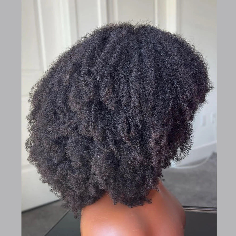 Afro Kinky Curly 13X6 Lace Front Human Hair Wigs For Black Women 4x4 Lace Closure Wig With Bang Brazilian 180% Density Remy Hair