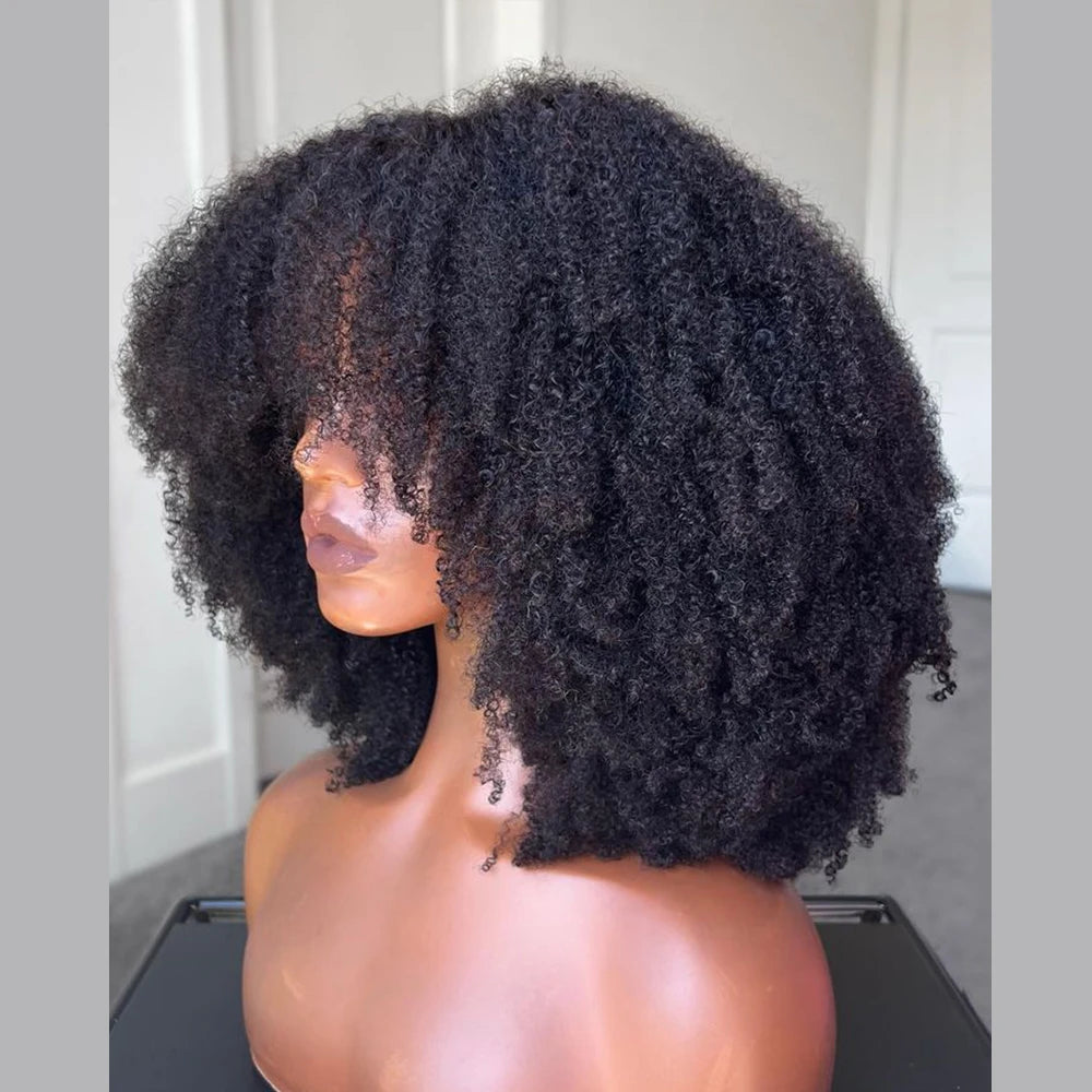 Afro Kinky Curly 13X6 Lace Front Human Hair Wigs For Black Women 4x4 Lace Closure Wig With Bang Brazilian 180% Density Remy Hair