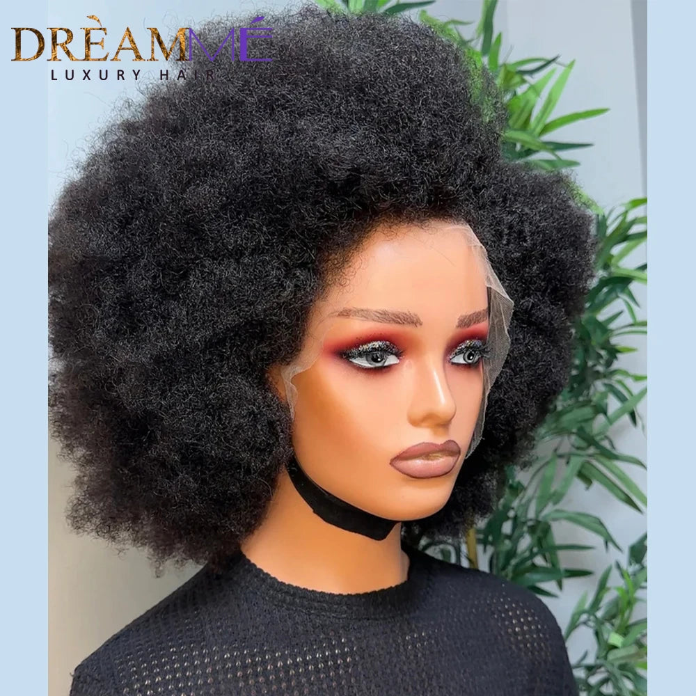 Afro Curly 360 Lace Wigs For Women Peruvian Remy Human Hair Kinky Curly 13x4 Lace Front Human Hair Wigs With 4c Kinky Hairline