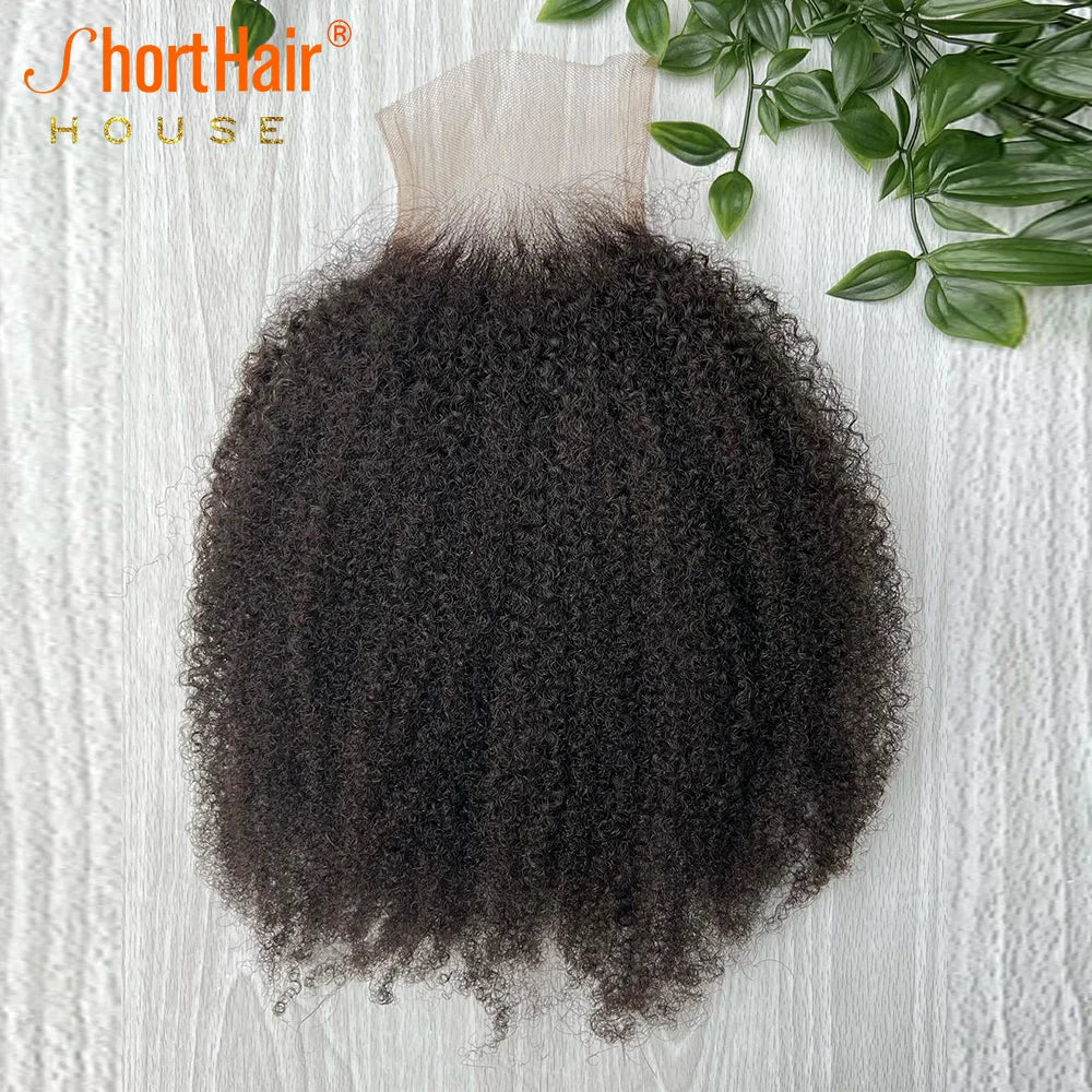 Afro Kinky Curly Human Hair Brazilian 4x4 5x5 HD Lace Closure Human Hair 13x4Transparent Lace Frontal 130Density Hair Extensions