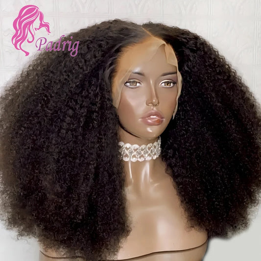350% Density Fluffy Afro Kinky Curly Human Hair Wigs 13x4 Transparent Lace Frontal Wig Virgin Hair 4x4 Closure Wig Natural Color